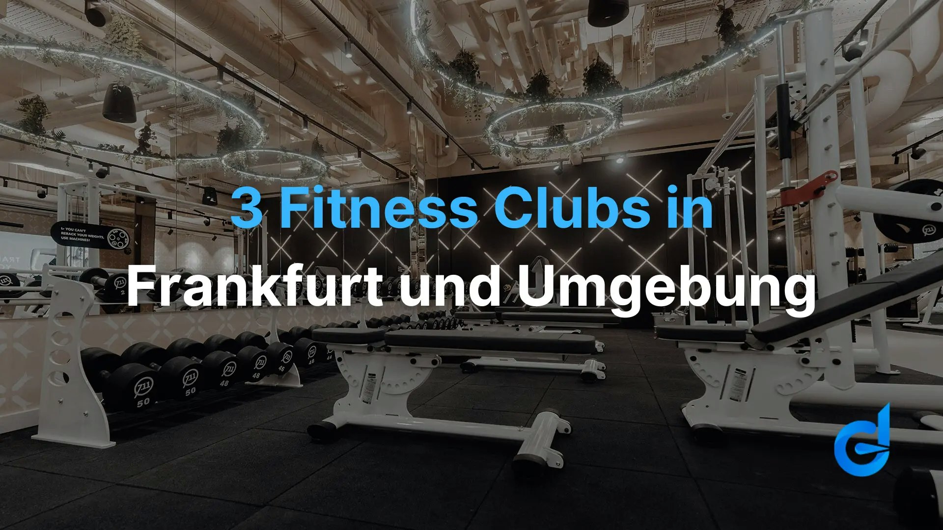 trainingsbereicht vom fitnessstudio in frankfurt von der kette fitseveneleven.