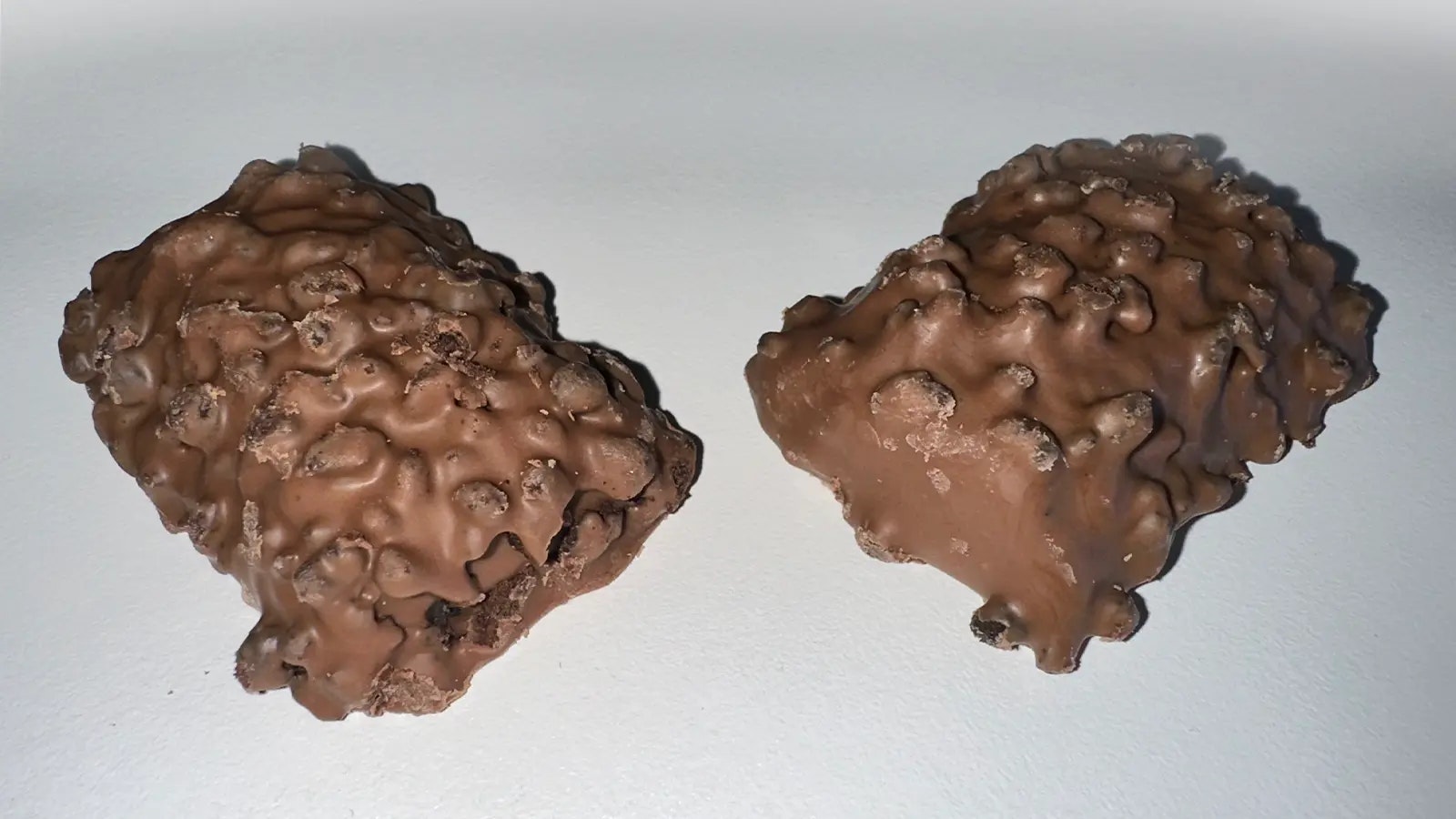 Zwei More Protein Satisbites ohne Verpackung auf hellem Grund.