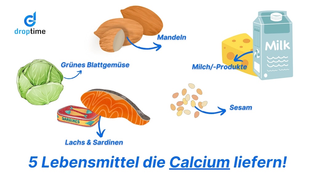 Eine Grafik, welche Lebensmittel mit einem hohen Gehalt an Calcium zeigt.