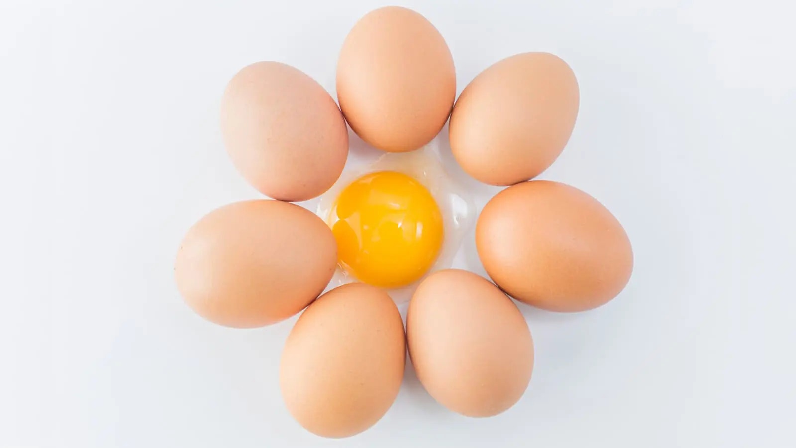 Mehrere Eier