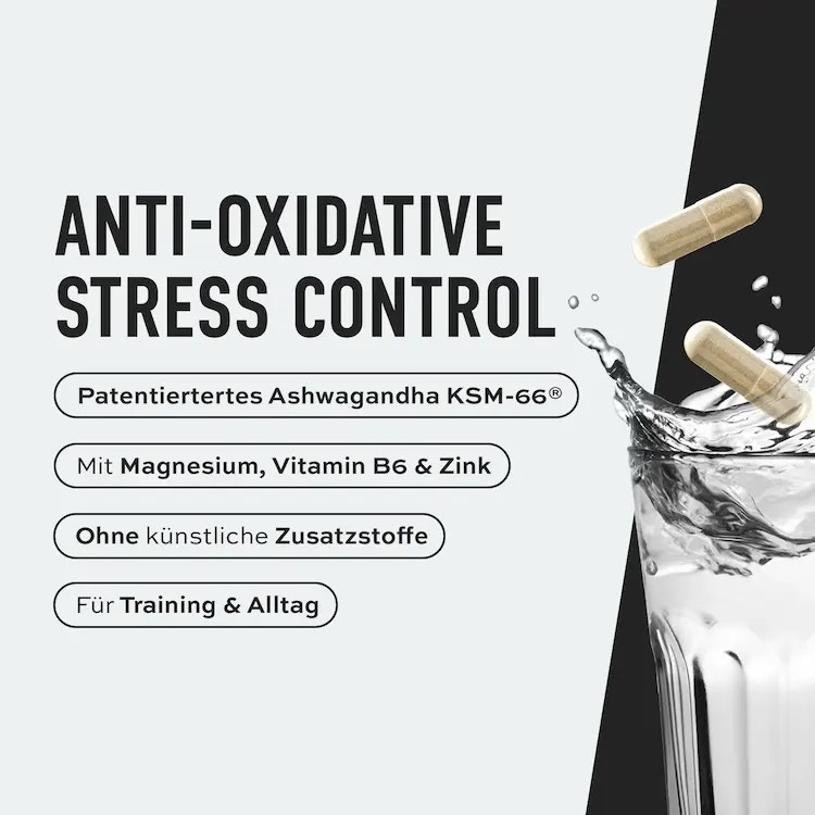 ESN Ashwa Pro Wirkung