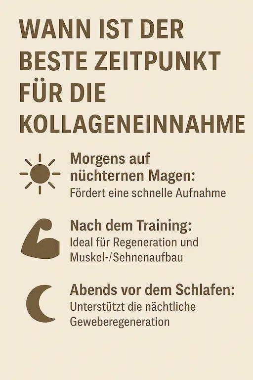 Was ist Kollagen? Wirkung, Vorteile & Anwendung im Überblick