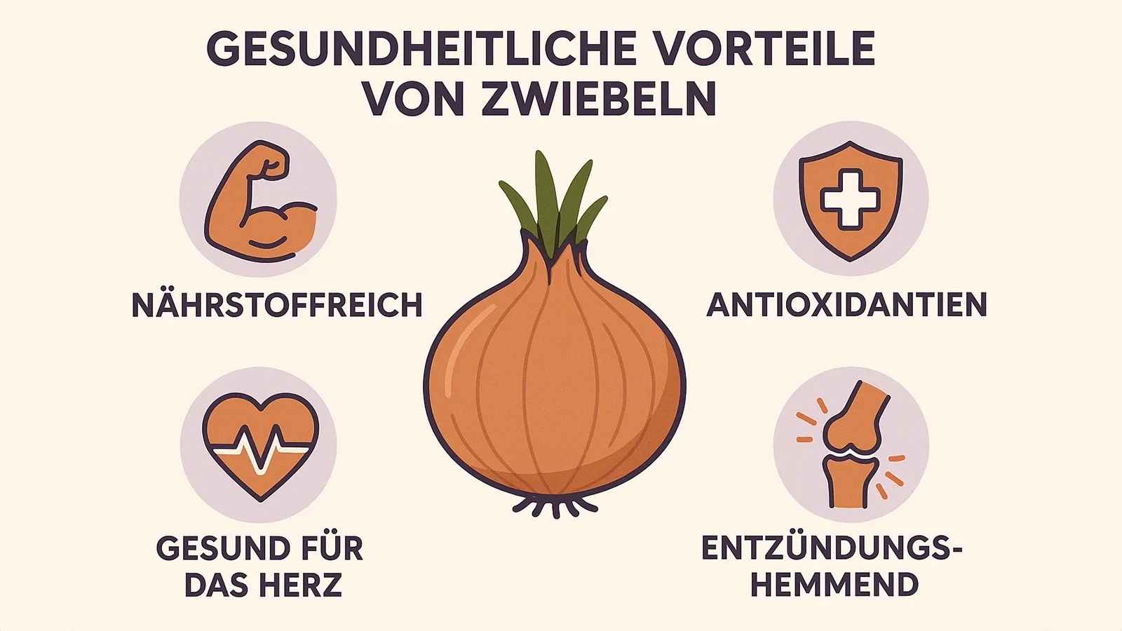 Eine Grafik, welche die Vorteile von Zwiebeln darstellt.