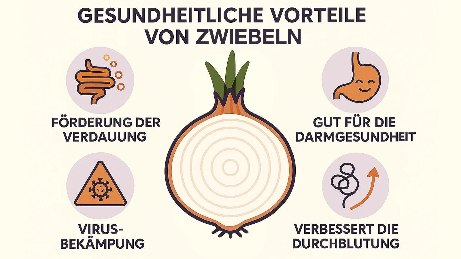 Eine Grafik, welche die Vorteile von Zwiebeln darstellt.
