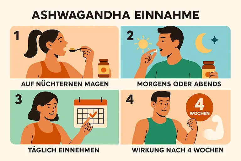 Grafik die zeigt wie man Ashwagandha einnehmen sollte