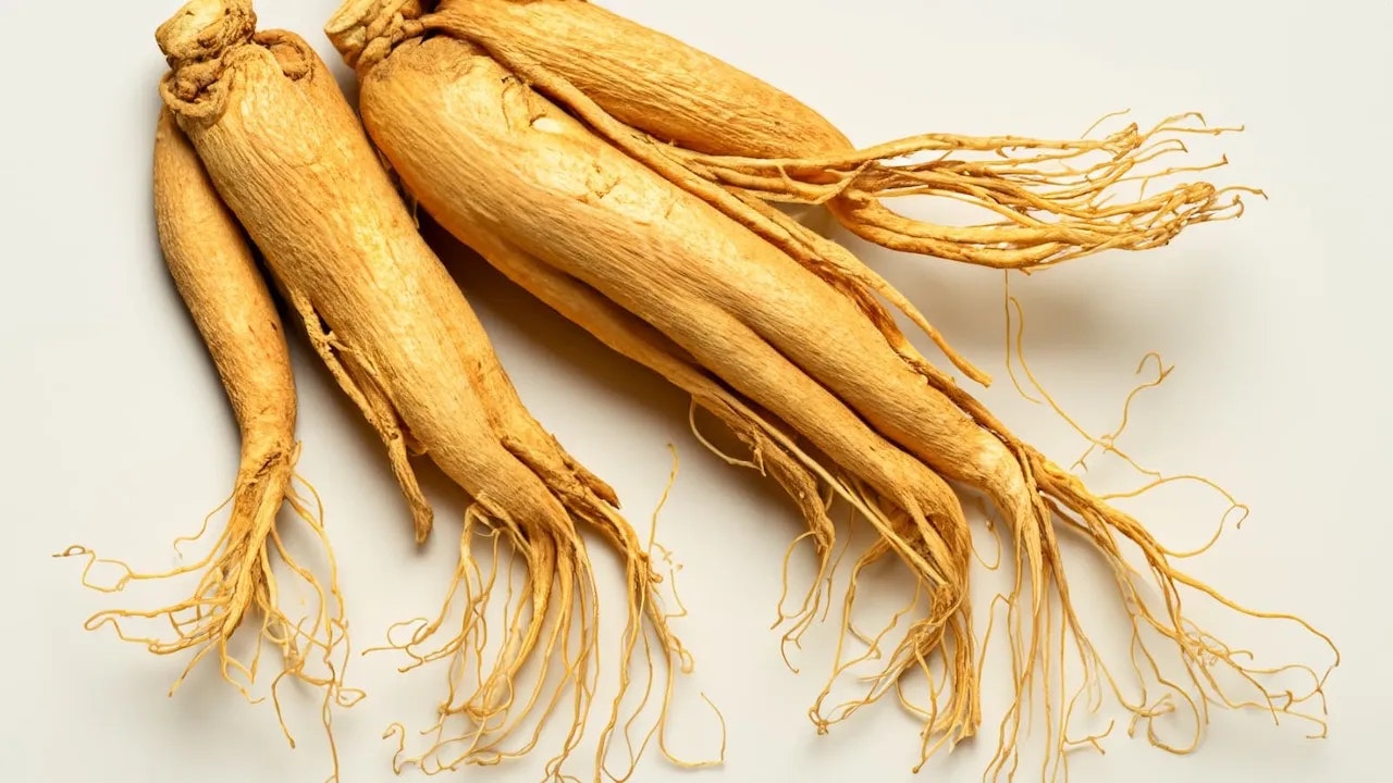 Bild von einer Ginseng-Wurzel auf hellem Hintergrund.