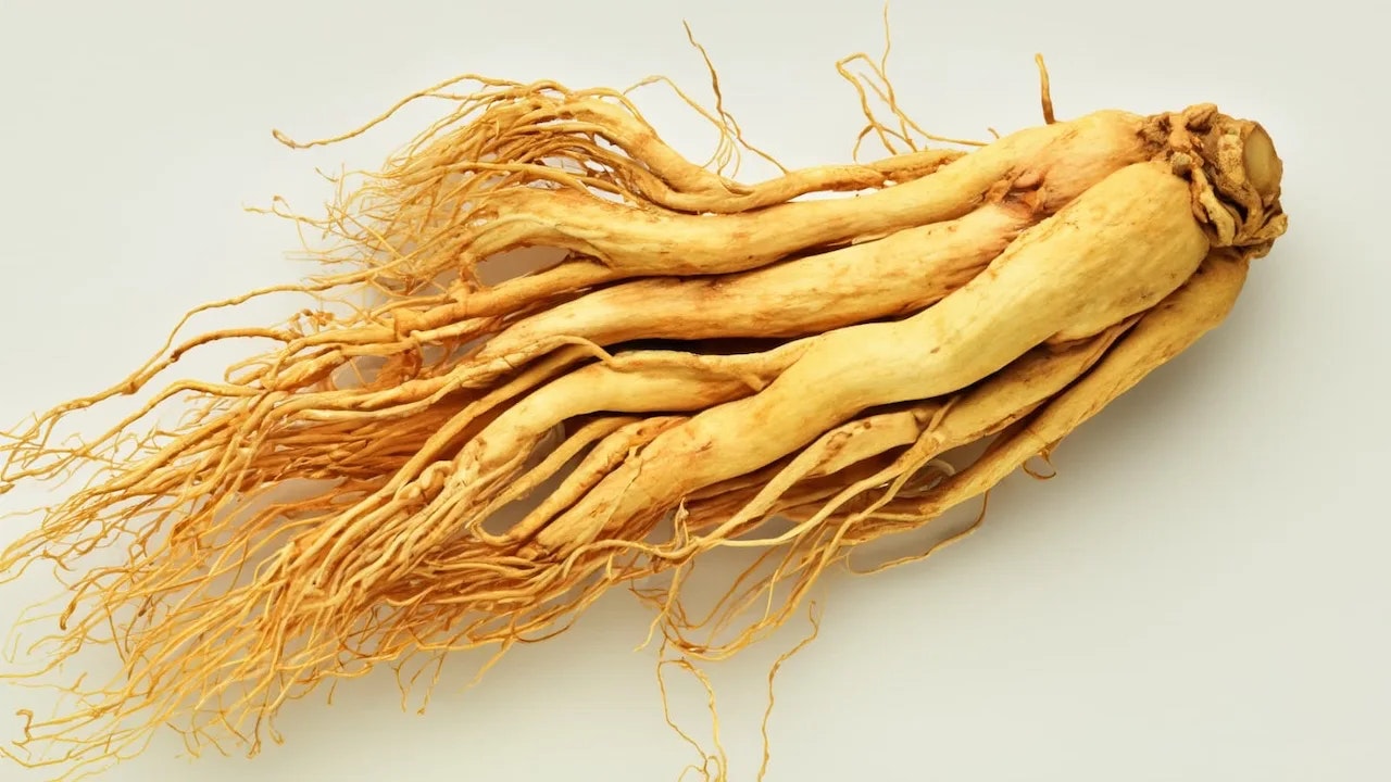 Bild von einer Ginseng-Wurzel auf hellem Hintergrund.