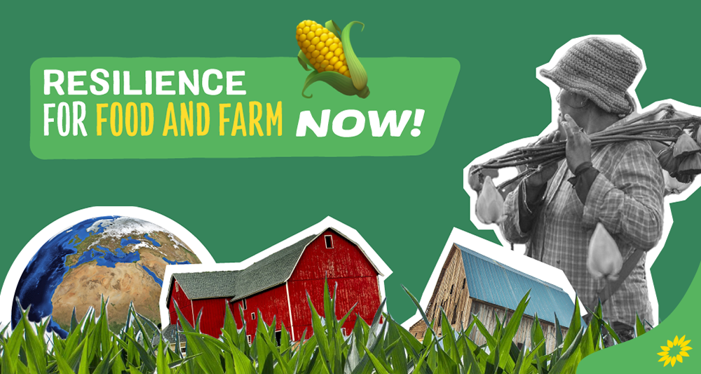 Sustainable agriculture can help tackle a food crisis fuelled by climate shocks and war