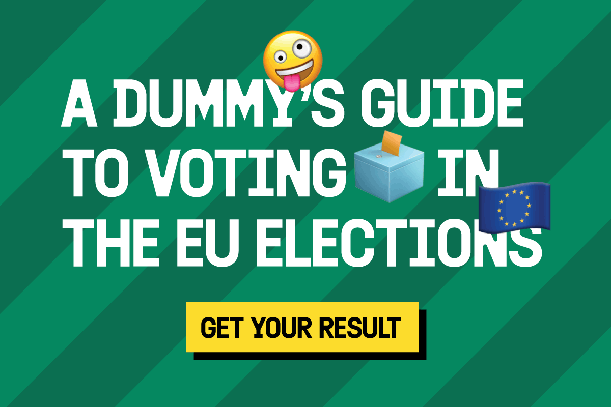 A dummy's guide to voting in the EU Elections. Get your result