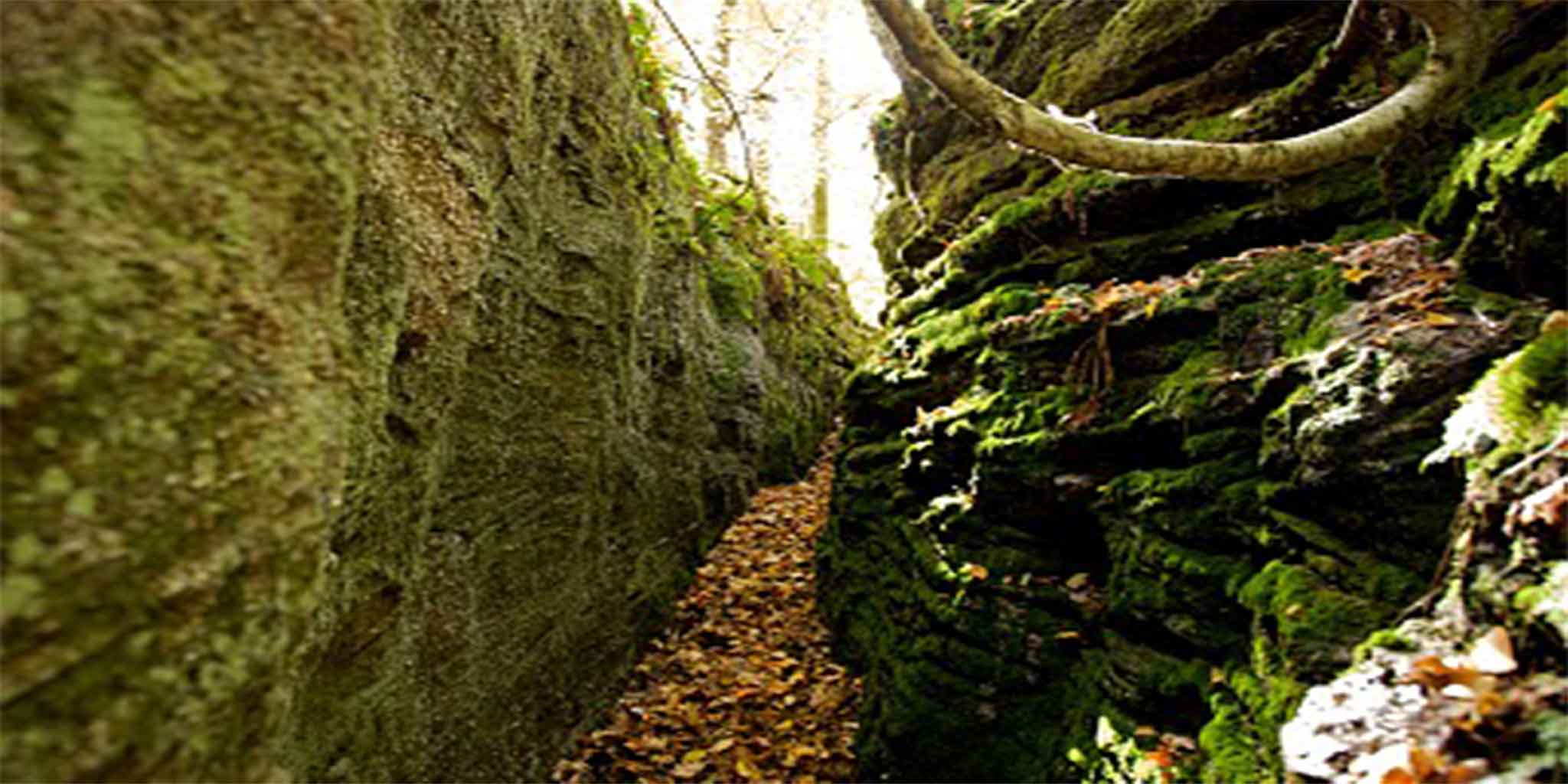 Hiking in and around Ellicottville - Ellicottville, NY