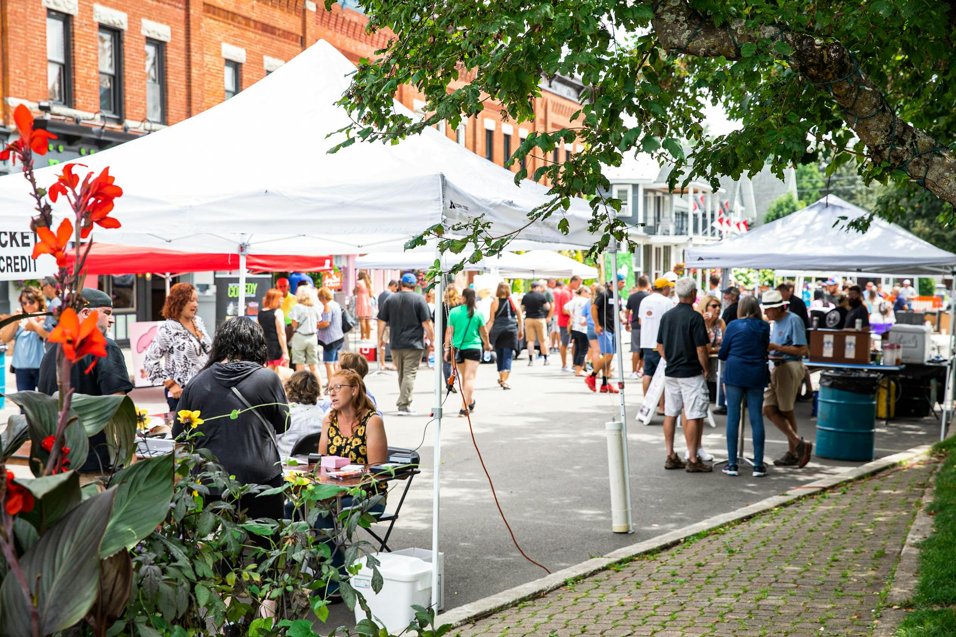 Taste of Ellicottville 2023 Ellicottville, NY