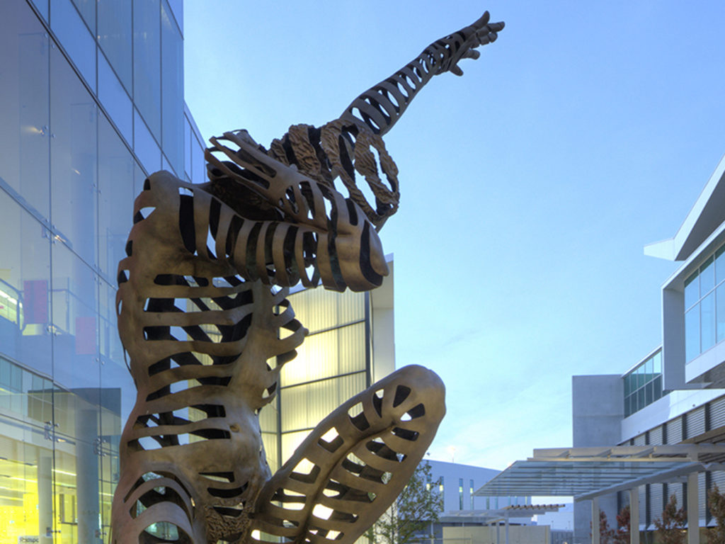 Image for Perception and Reality by Andrew Rogers