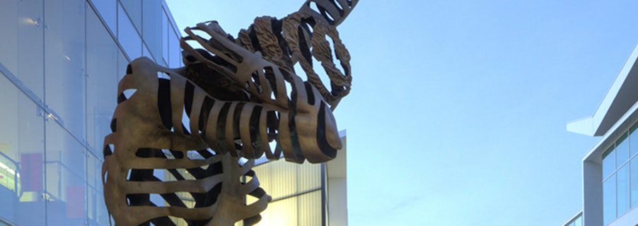 Image for Perception and Reality by Andrew Rogers