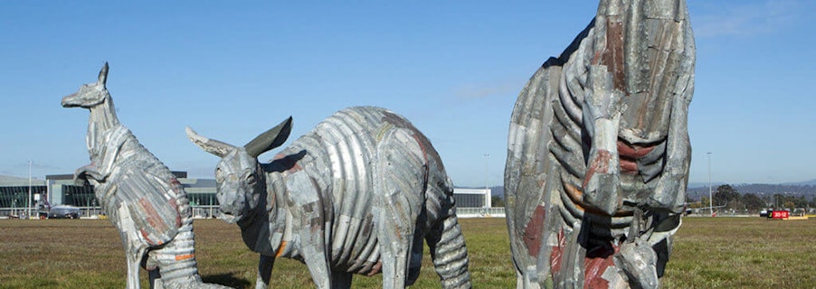 Image for Roos by Jeff Thomson