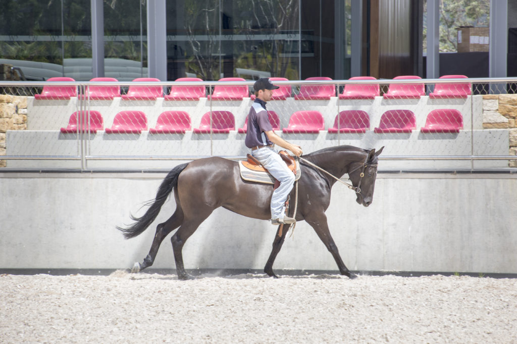 Image for Willinga Park