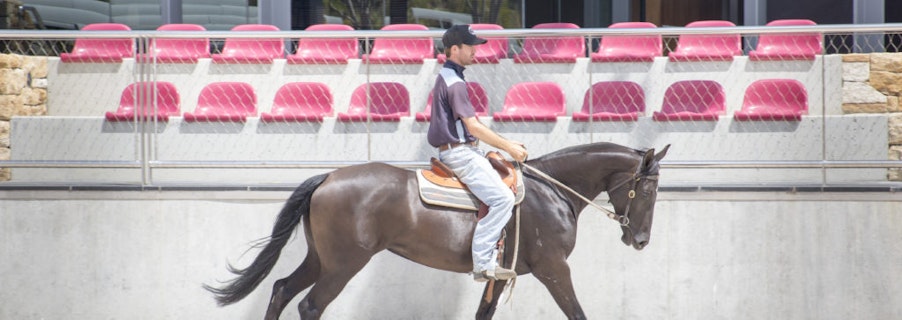 Image for Willinga Park