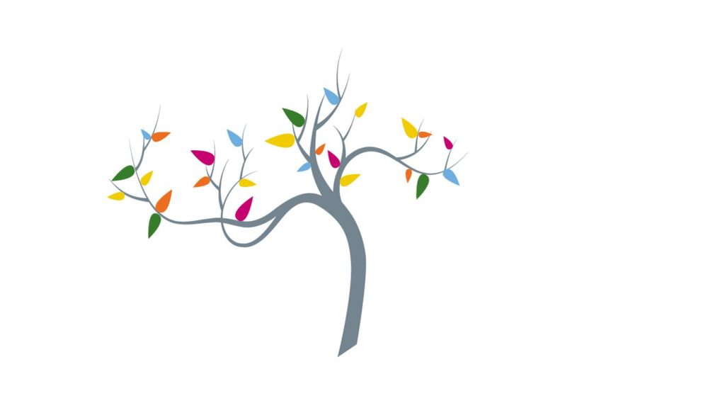 Image for The Snow Foundation