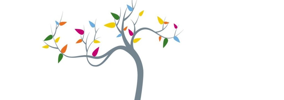 Image for The Snow Foundation