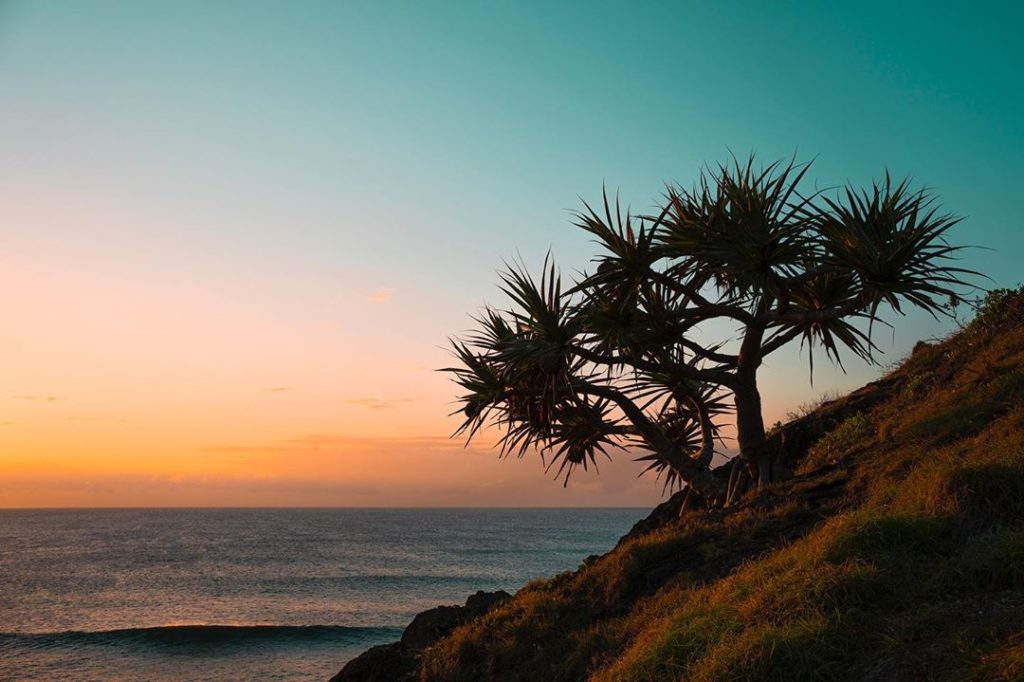 Image for Flights to Port Macquarie commence