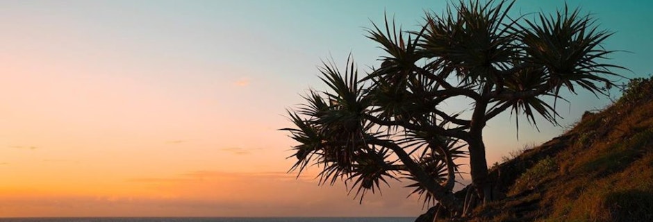 Flights to Port Macquarie commence Image for Flights to Port Macquarie commence