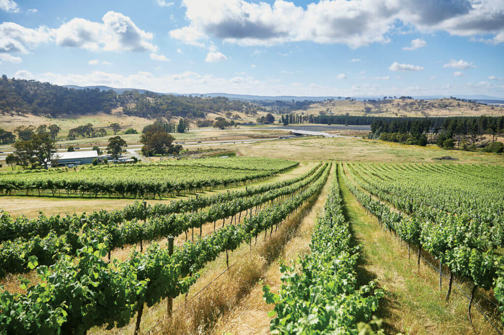 Image for International accolade for Canberra wine region