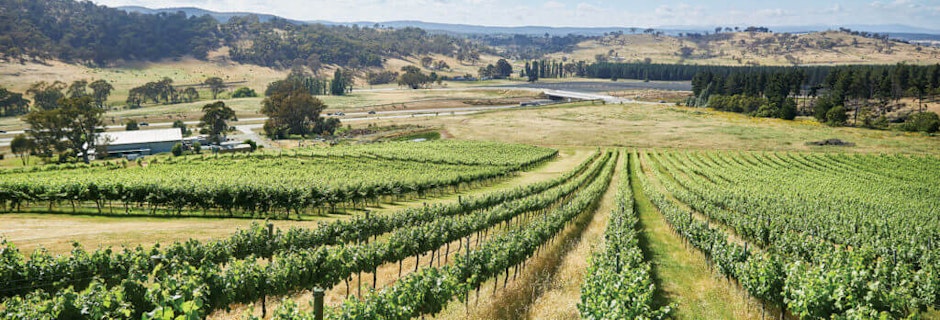 Image for International accolade for Canberra wine region