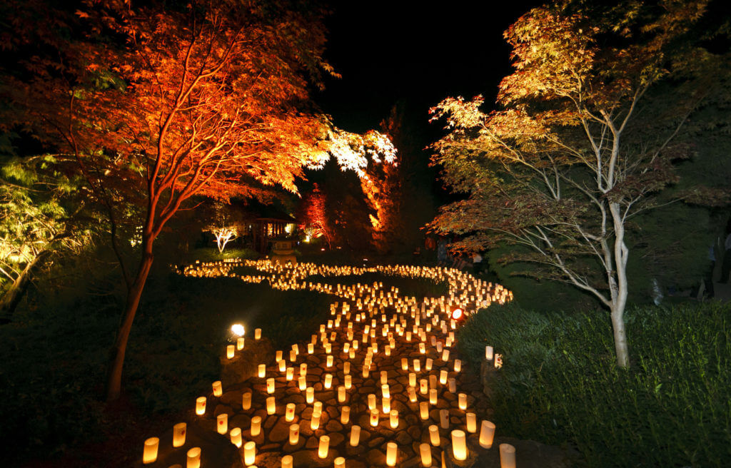 Image for Canberra Nara Candle Festival