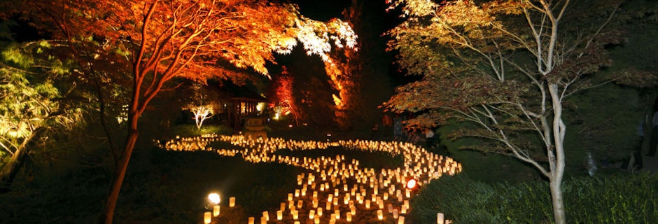 Canberra Nara Candle Festival Image for Canberra Nara Candle Festival