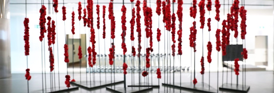 Image for Poppies bloom in our terminal as a tribute to Australian servicemen and servicewomen