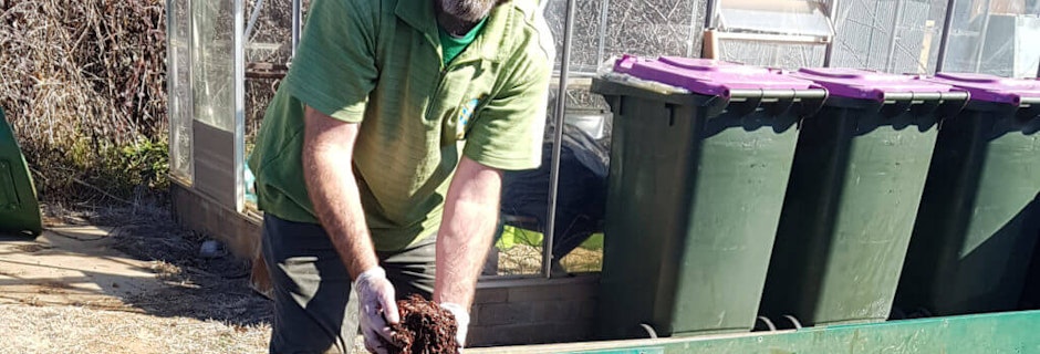 We are wild about our worm farm Image for We are wild about our worm farm