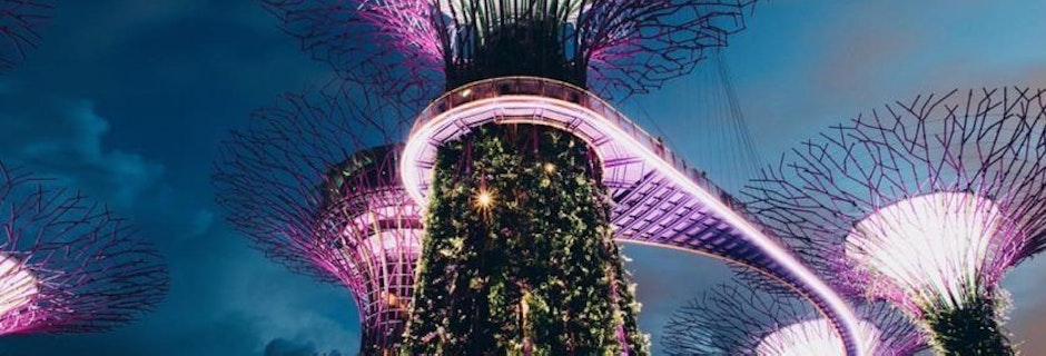 Trade and Tourism mission for Singaporeans to Canberra Image for Trade and Tourism mission for Singaporeans to Canberra