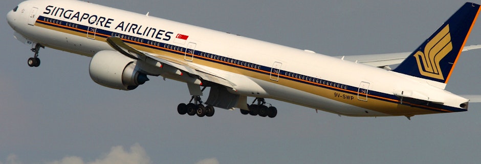 Singapore Airlines brings a new level of comfort. Image for Singapore Airlines brings a new level of comfort.