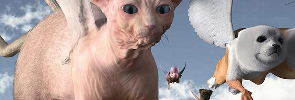 Win a double pass to Hyper Real Image for Win a double pass to Hyper Real