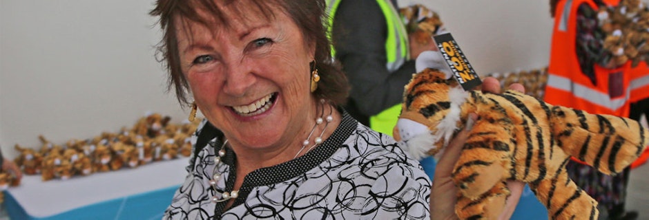 Tigerair introduces low cost travel option Image for Tigerair introduces low cost travel option