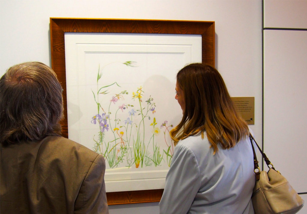 Image for Botanical Watercolours at Canberra Airport