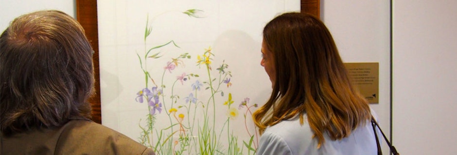Botanical Watercolours at Canberra Airport Image for Botanical Watercolours at Canberra Airport