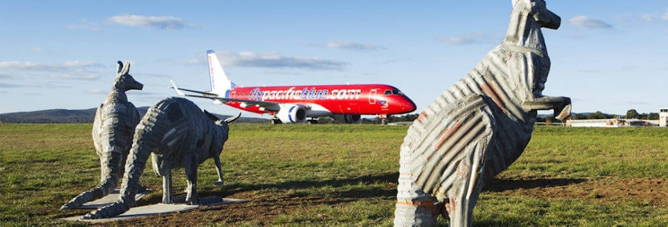 ‘Flying’ Kangaroos at Canberra Airport Image for ‘Flying’ Kangaroos at Canberra Airport