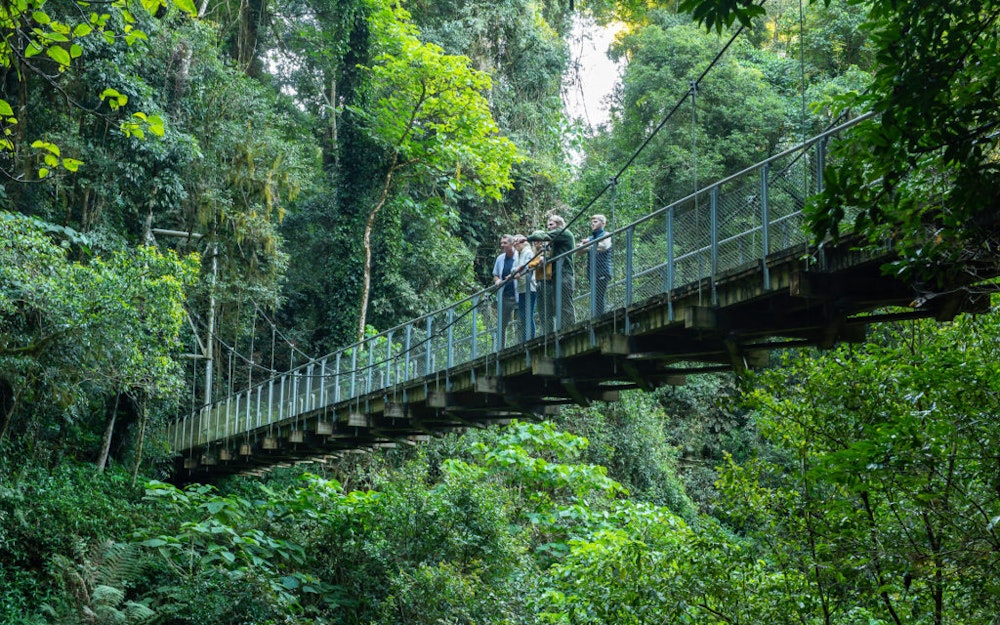 Image for Landscape view of skybridge