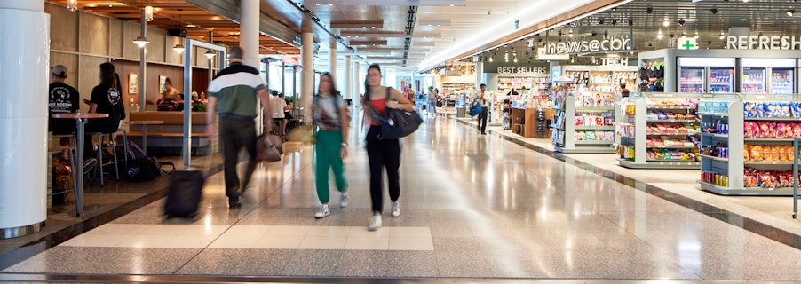 Image for Domestic terminal