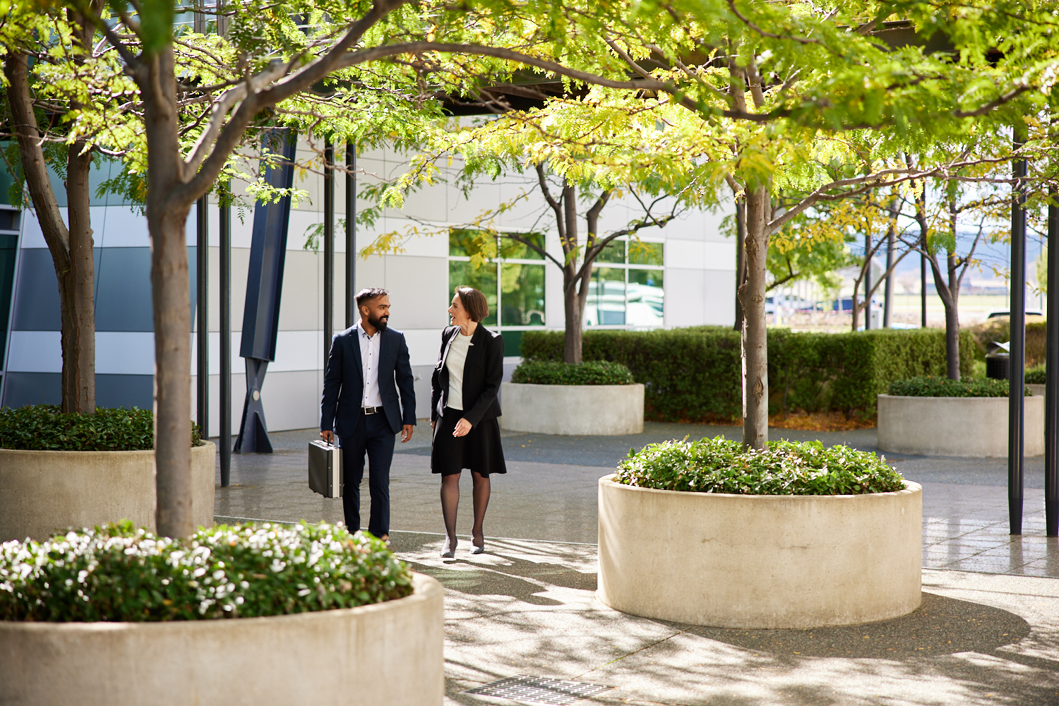 Image for Meetings & Conferences