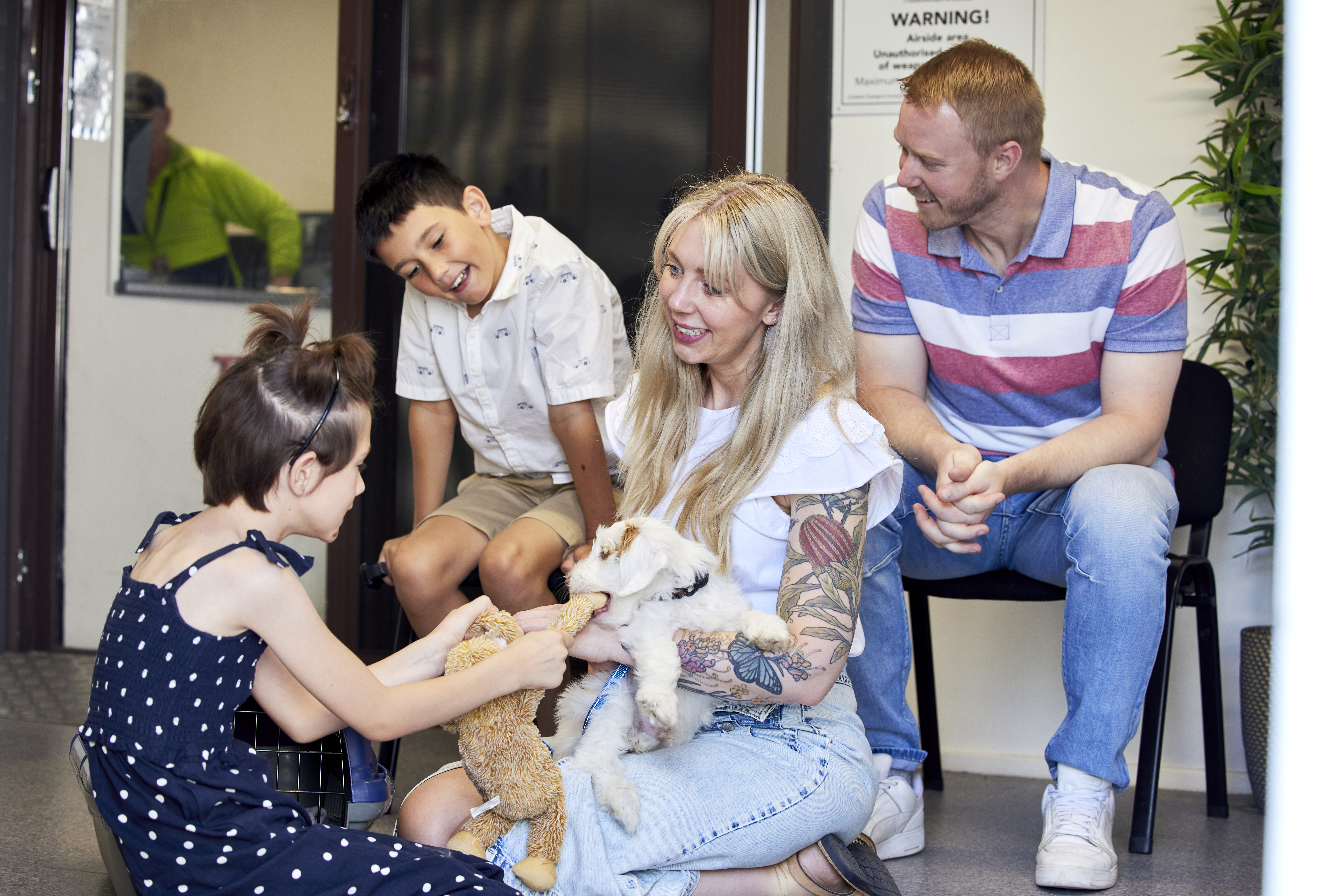 Image for Transporting Pets