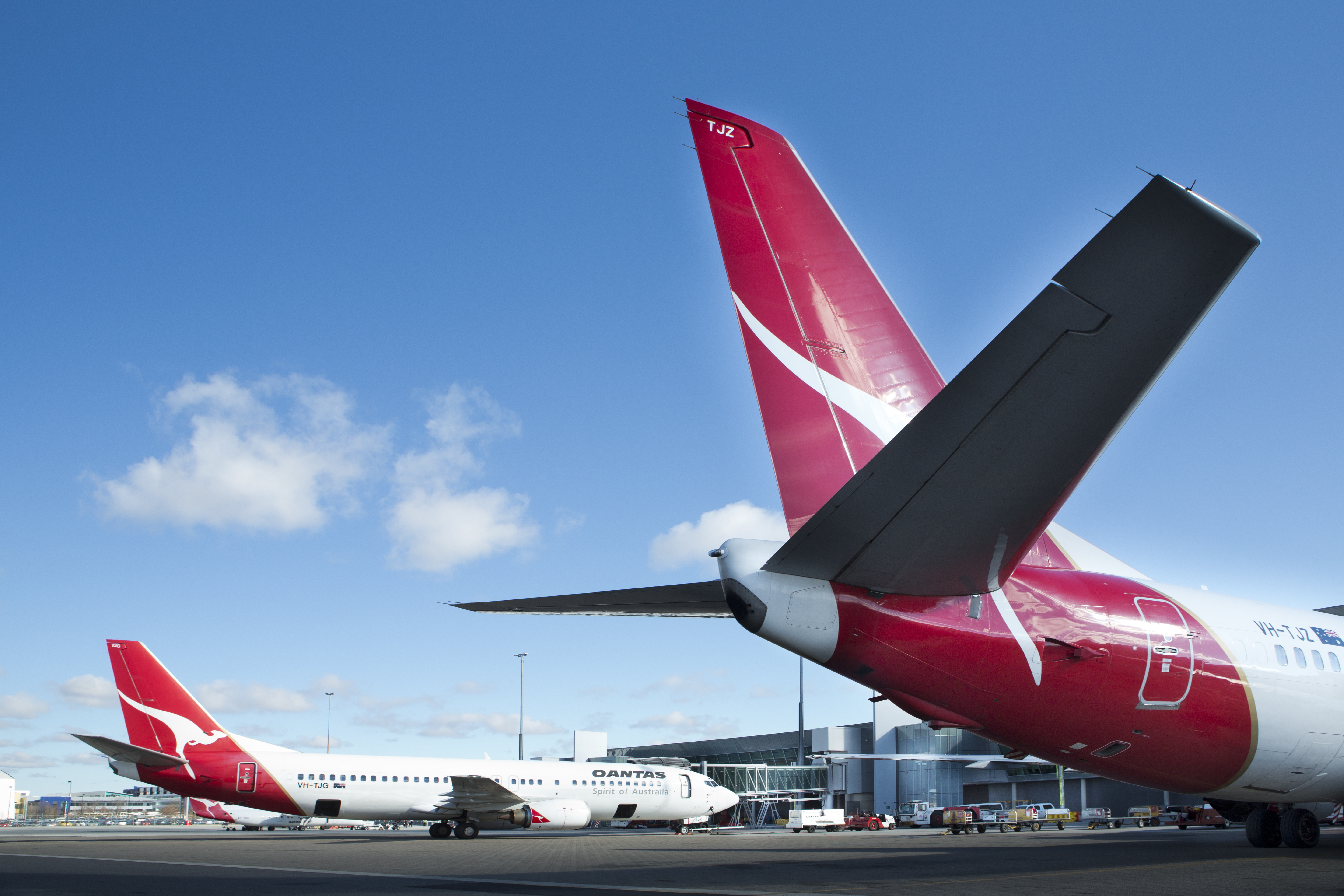 Image for Renewed call for Government to investigate flight cancellations