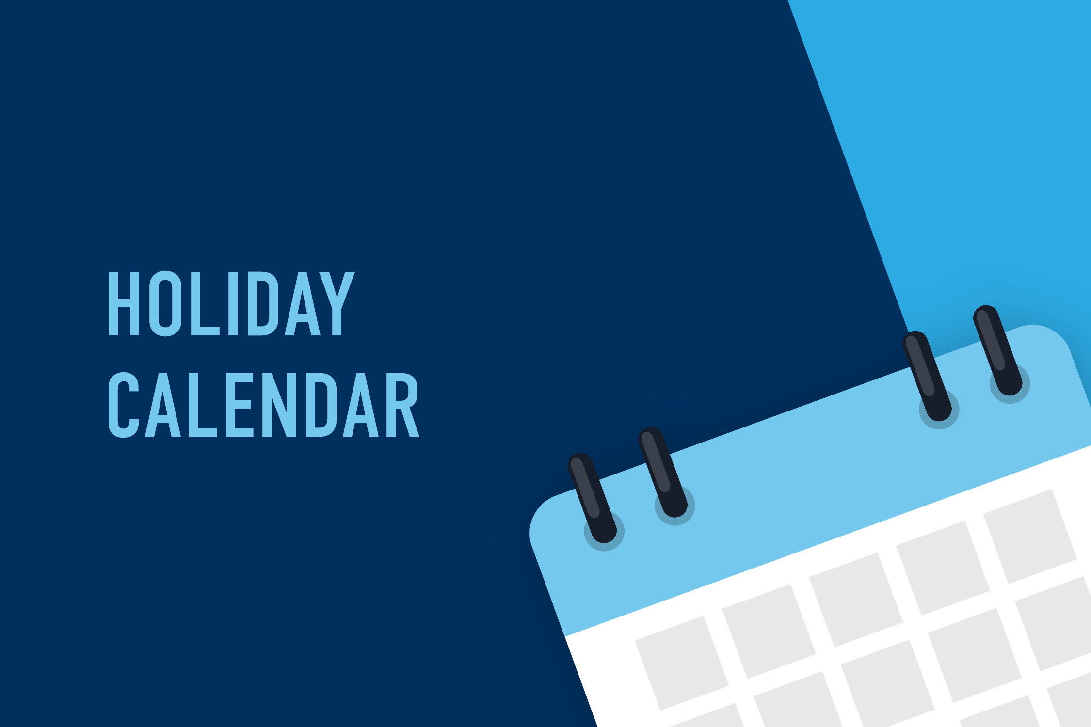 Image for Book Holidays in 2025