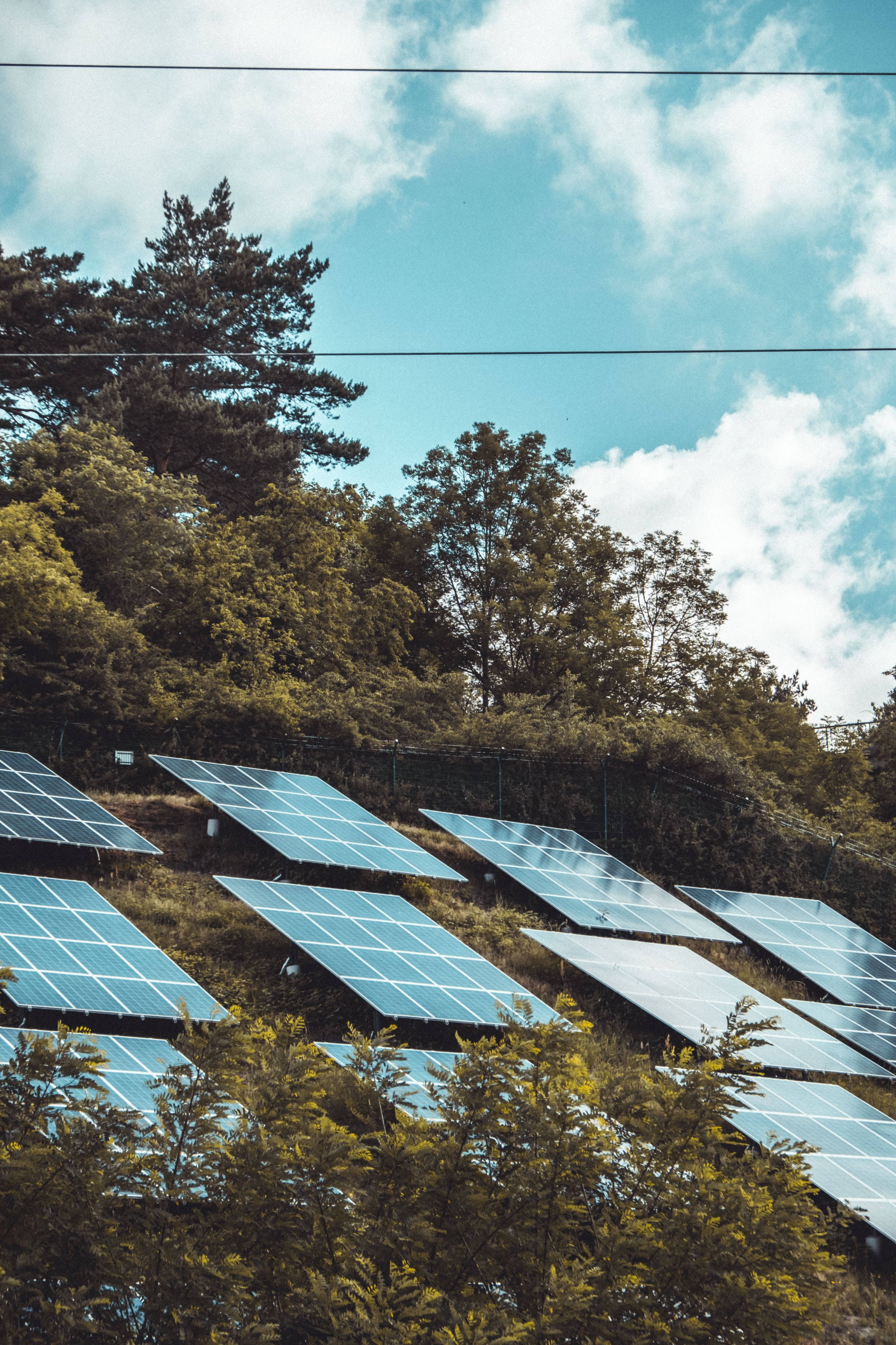 Wall of Solar Panels