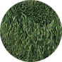 BuzziSkin Printed Green 2