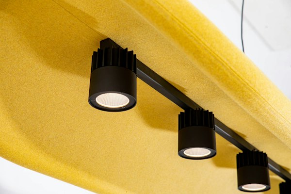 BuzziChip, Everything revolves around the curves | BuzziSpace