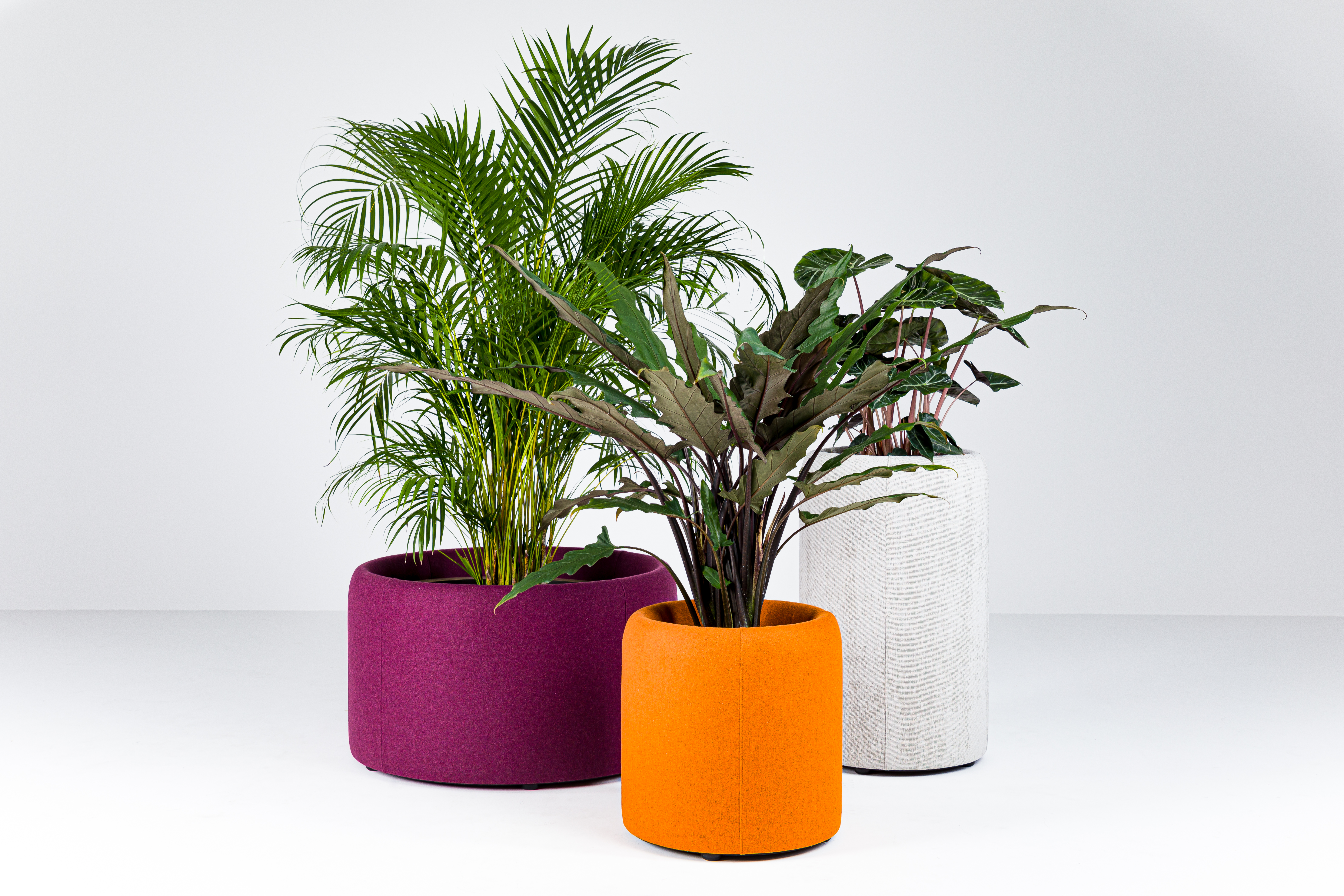 BuzziPlanter, green office divider | BuzziSpace