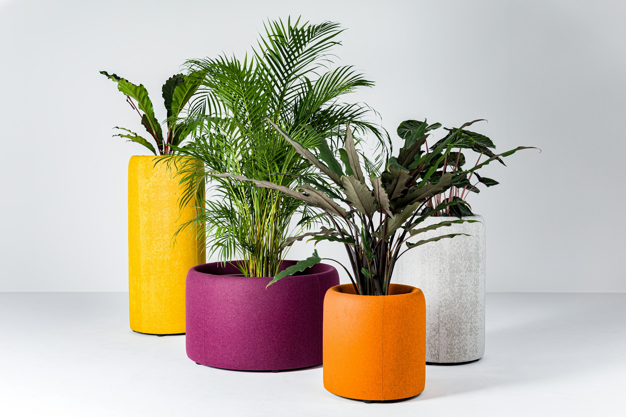 BuzziSpace buzziplanter acoustic room divider table planter biophilia