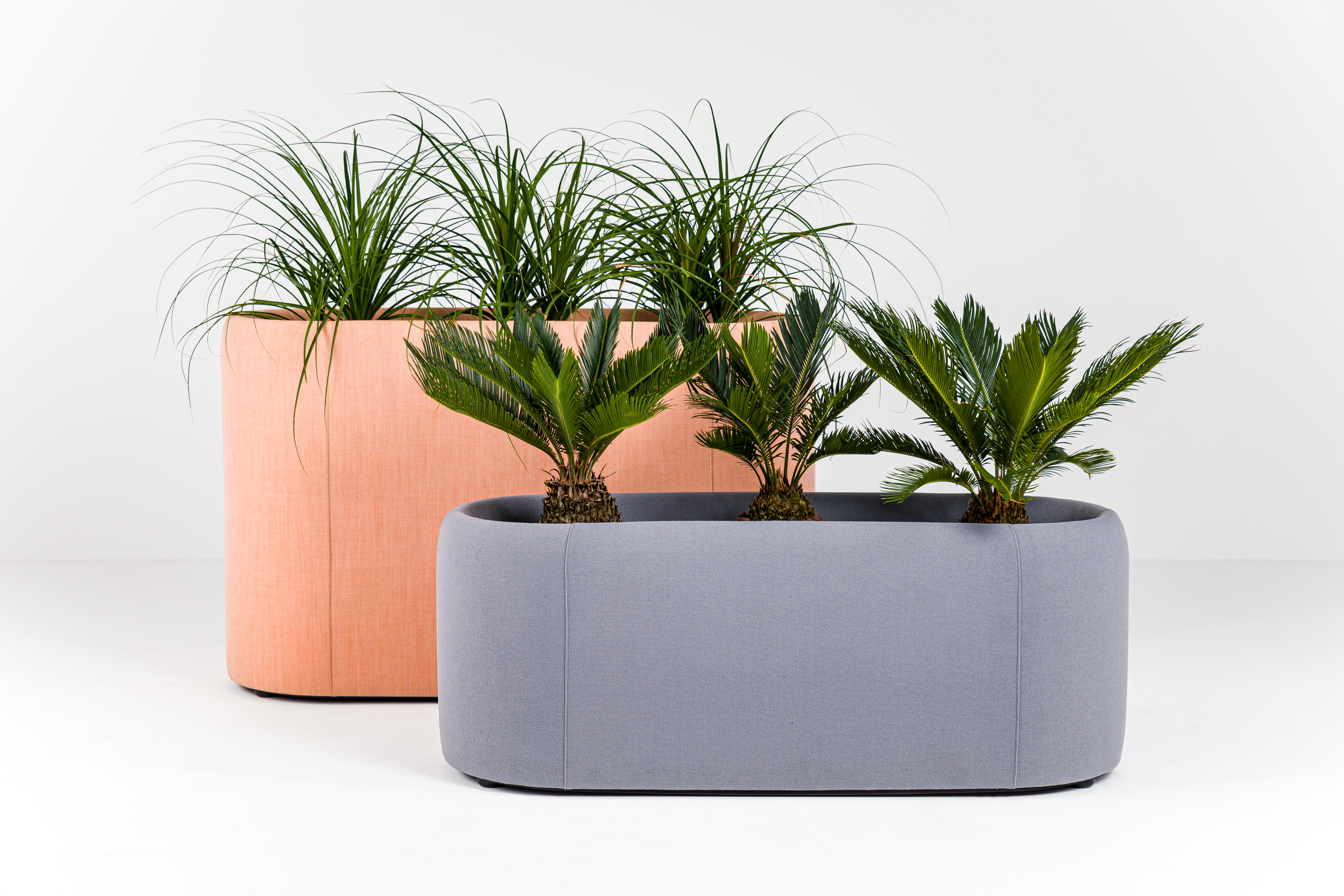 BuzziPlanter, green office divider | BuzziSpace