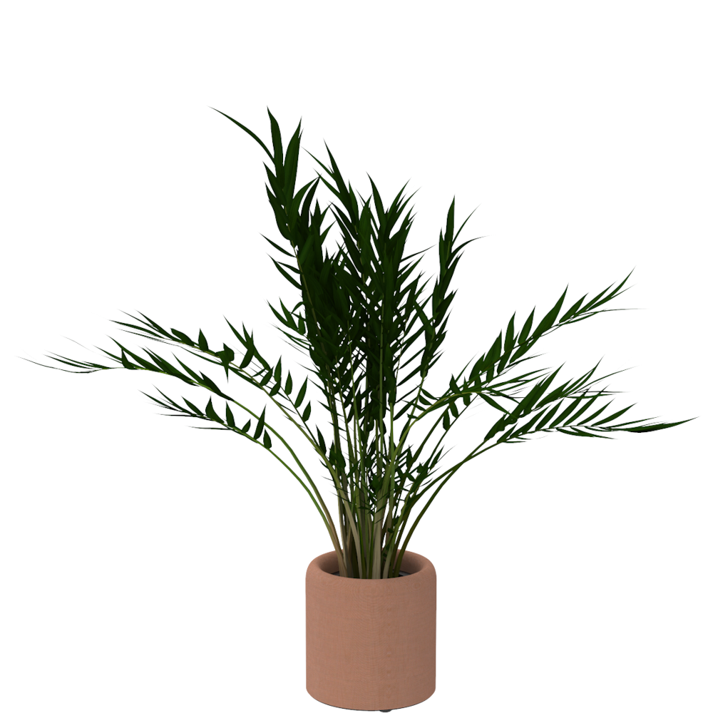BuzziPlanter